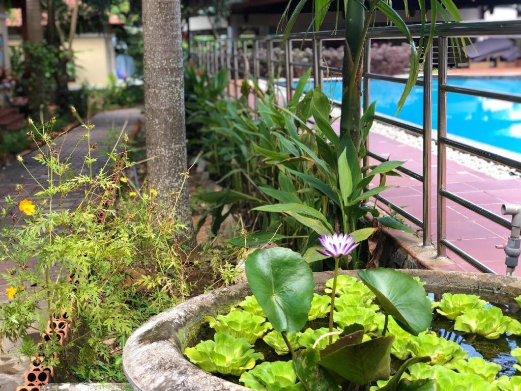 Castaways Resort 두옹 동 외부 사진